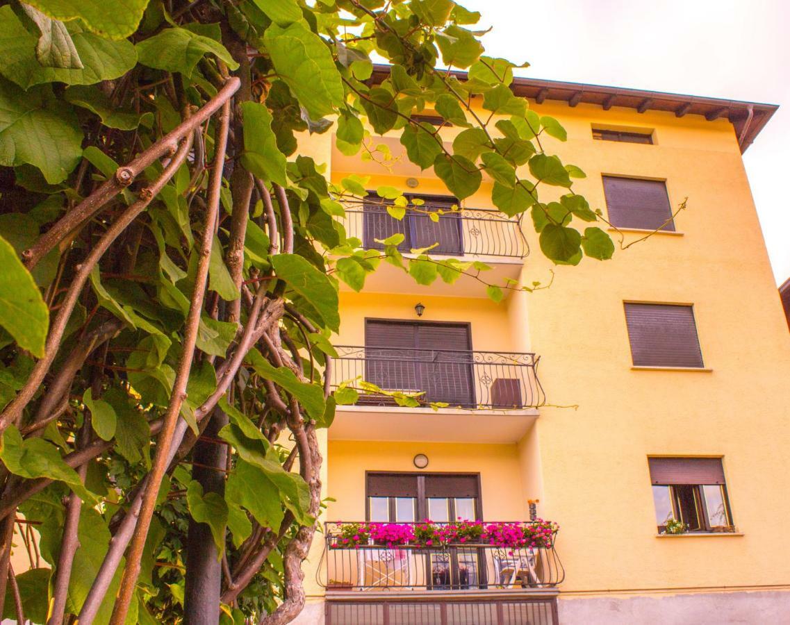 Appartement Pergolato Alpino P.Terra à Teglio Extérieur photo